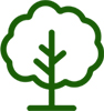 Forest Fringe